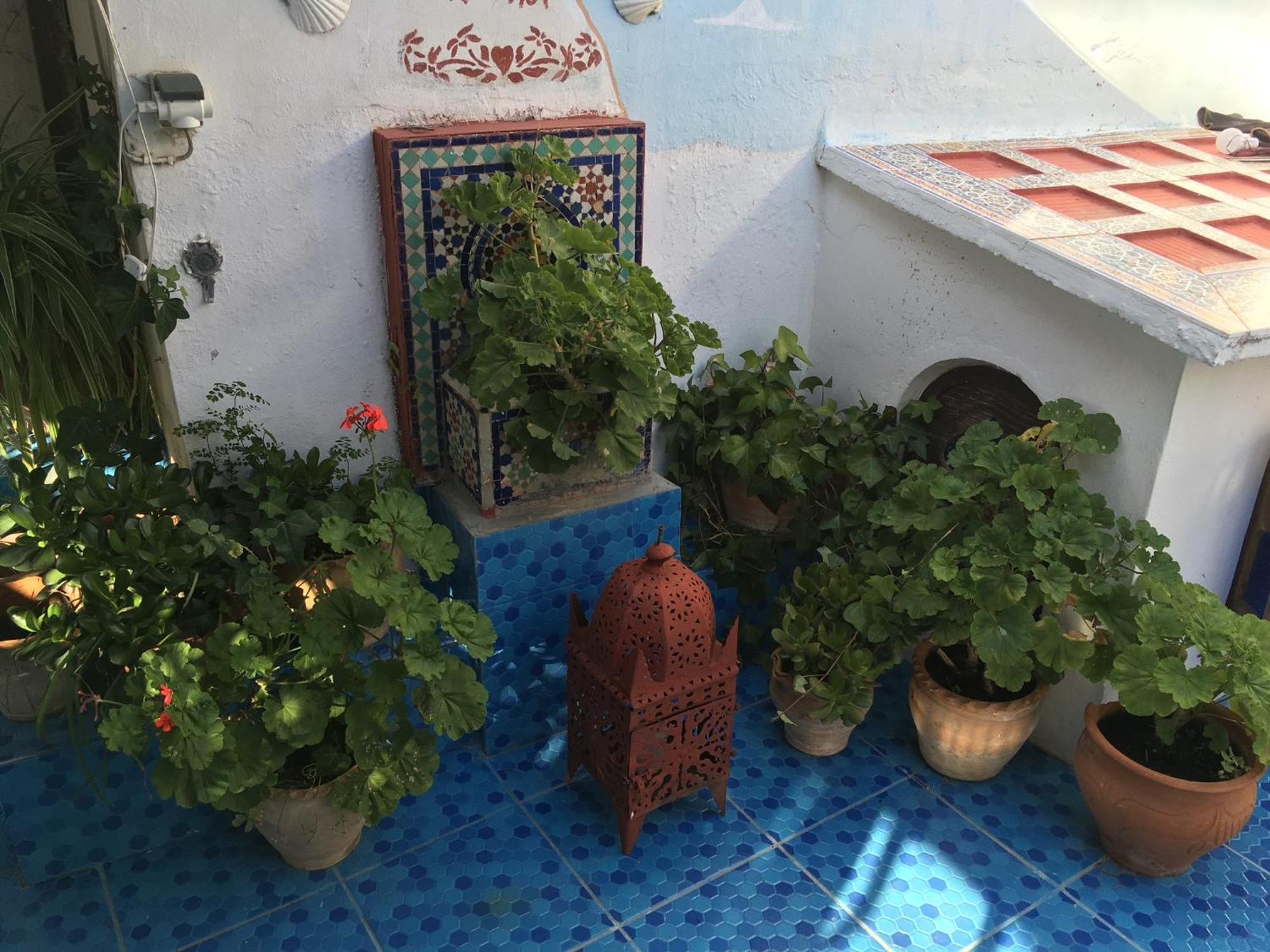 Hathor ,Casa Marroqui Con Dos Terrazas En La Medina Antigua , Ideal Parejas!! Wifi!! Асила Экстерьер фото